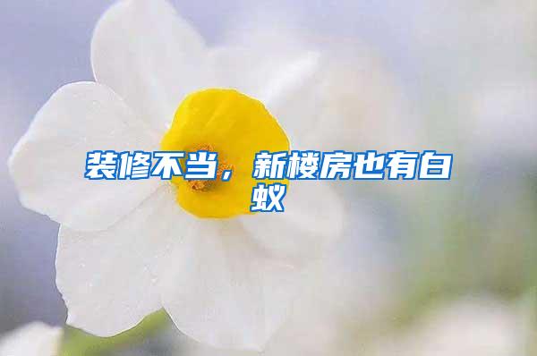 裝修不當，新樓房也有白蟻