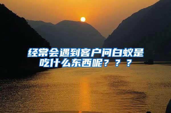 經(jīng)常會(huì)遇到客戶問白蟻是吃什么東西呢？？？