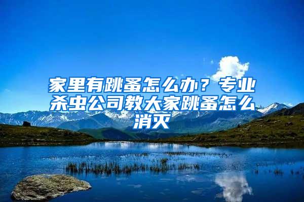 家里有跳蚤怎么辦？專業殺蟲公司教大家跳蚤怎么消滅