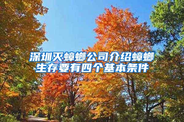 深圳滅蟑螂公司介紹蟑螂生存要有四個基本條件