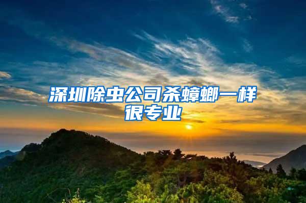 深圳除蟲公司殺蟑螂一樣很專業