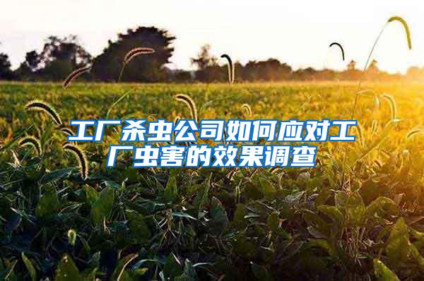 工廠殺蟲公司如何應對工廠蟲害的效果調查