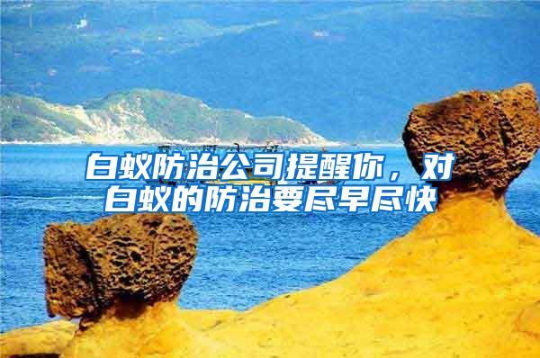 白蟻防治公司提醒你，對(duì)白蟻的防治要盡早盡快