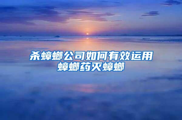 殺蟑螂公司如何有效運用蟑螂藥滅蟑螂