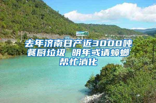 去年濟南日產近3000噸餐廚垃圾 明年或請蟑螂幫忙消化