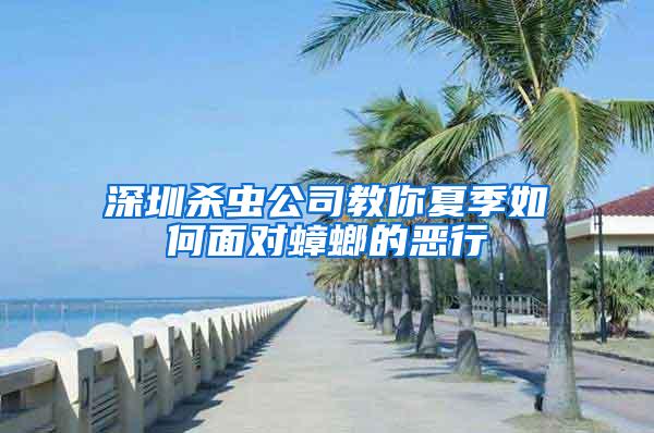 深圳殺蟲公司教你夏季如何面對蟑螂的惡行