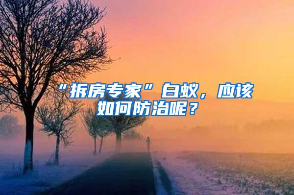 “拆房專家”白蟻，應(yīng)該如何防治呢？