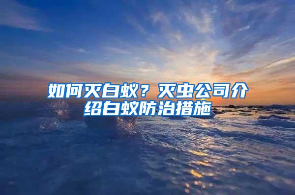 如何滅白蟻？滅蟲公司介紹白蟻防治措施