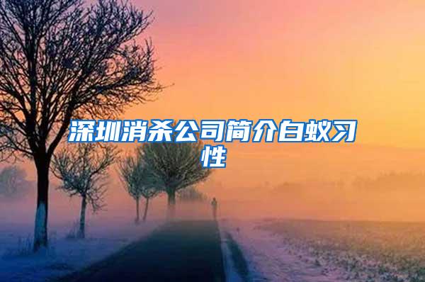 深圳消殺公司簡介白蟻習性