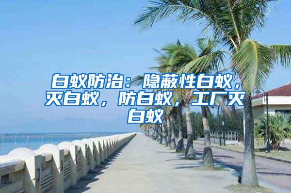 白蟻防治：隱蔽性白蟻，滅白蟻，防白蟻，工廠滅白蟻