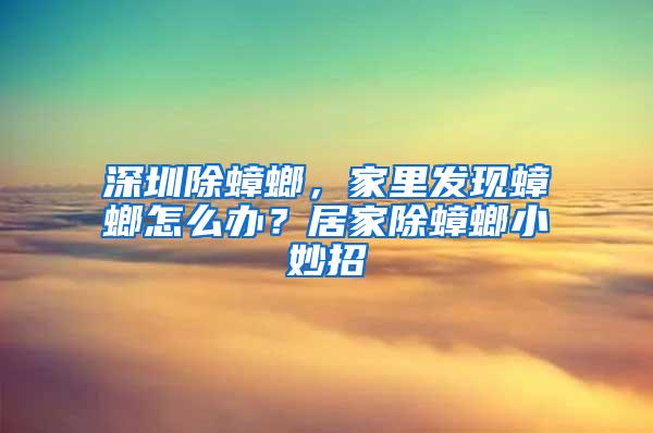 深圳除蟑螂，家里發現蟑螂怎么辦？居家除蟑螂小妙招