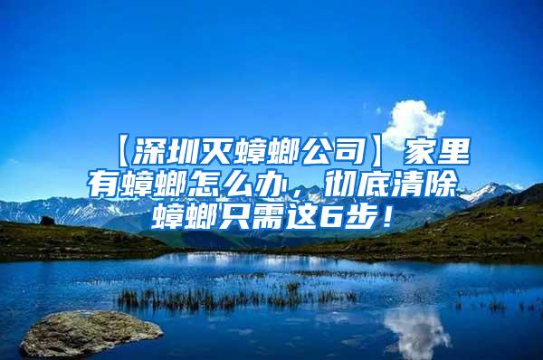 【深圳滅蟑螂公司】家里有蟑螂怎么辦，徹底清除蟑螂只需這6步！