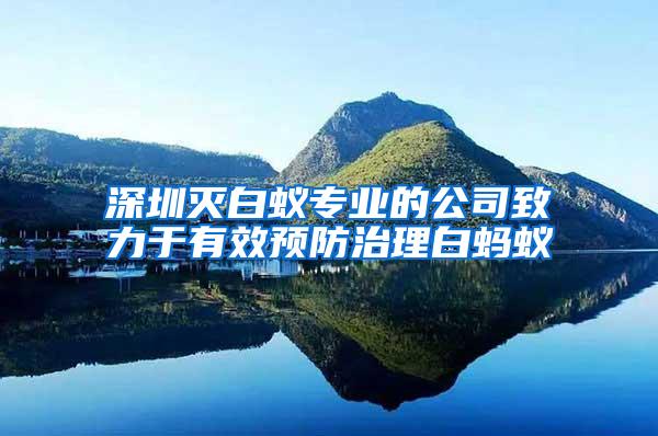 深圳滅白蟻專業的公司致力于有效預防治理白螞蟻