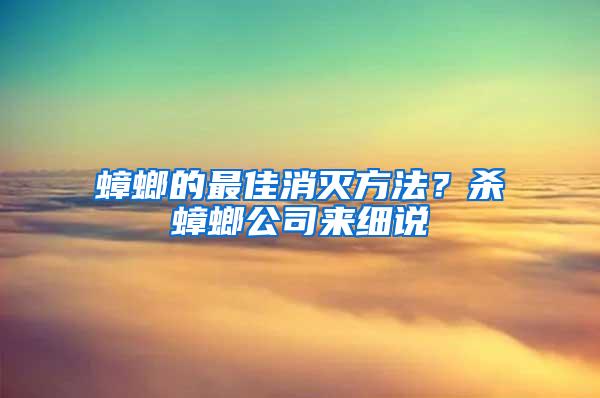 蟑螂的最佳消滅方法？殺蟑螂公司來細說