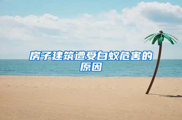 房子建筑遭受白蟻危害的原因