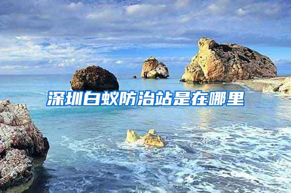 深圳白蟻防治站是在哪里