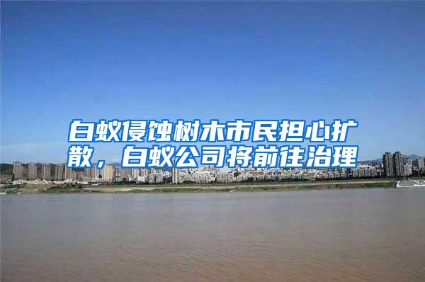 白蟻侵蝕樹木市民擔心擴散，白蟻公司將前往治理