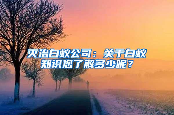 滅治白蟻公司：關于白蟻知識您了解多少呢？