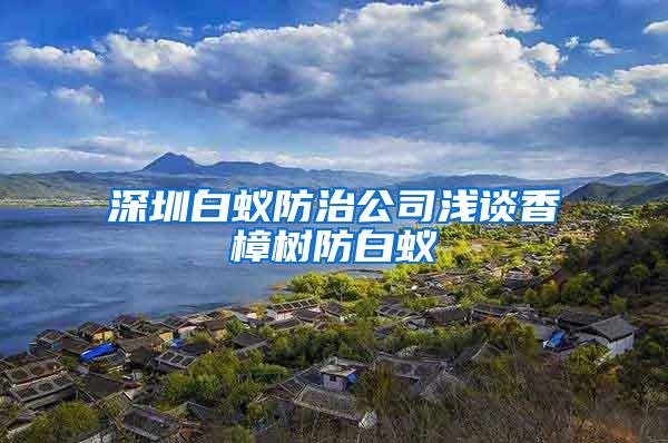 深圳白蟻防治公司淺談香樟樹防白蟻