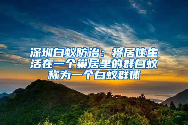 深圳白蟻防治：將居住生活在一個巢居里的群白蟻稱為一個白蟻群體