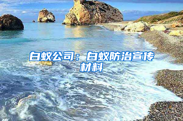 白蟻公司：白蟻防治宣傳材料