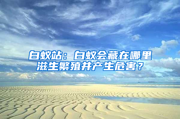 白蟻站：白蟻會藏在哪里滋生繁殖并產生危害？