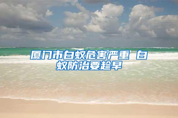 廈門市白蟻危害嚴重 白蟻防治要趁早