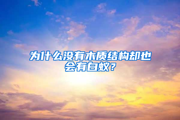 為什么沒有木質結構卻也會有白蟻？