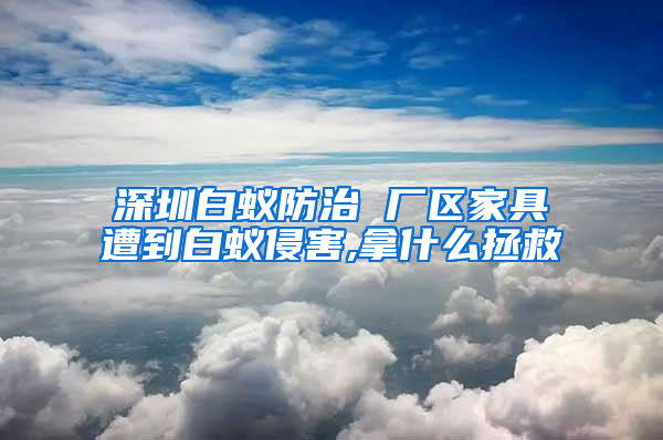 深圳白蟻防治 廠區(qū)家具遭到白蟻侵害,拿什么拯救