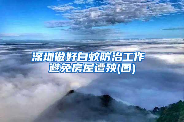 深圳做好白蟻防治工作 避免房屋遭殃(圖)