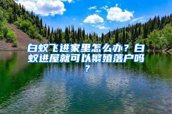 白蟻飛進家里怎么辦？白蟻進屋就可以繁殖落戶嗎？