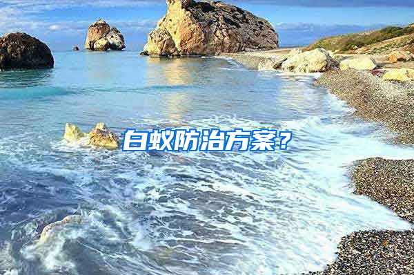 白蟻防治方案？