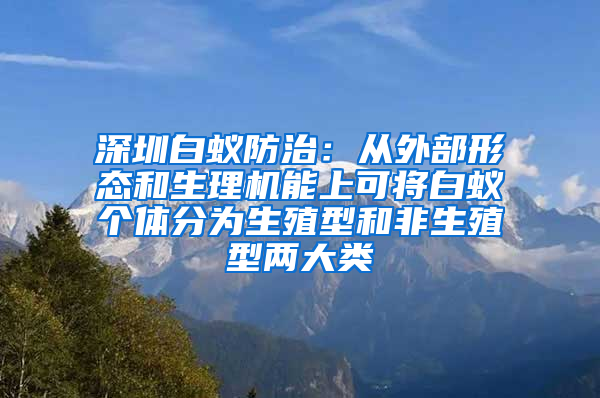 深圳白蟻防治：從外部形態和生理機能上可將白蟻個體分為生殖型和非生殖型兩大類