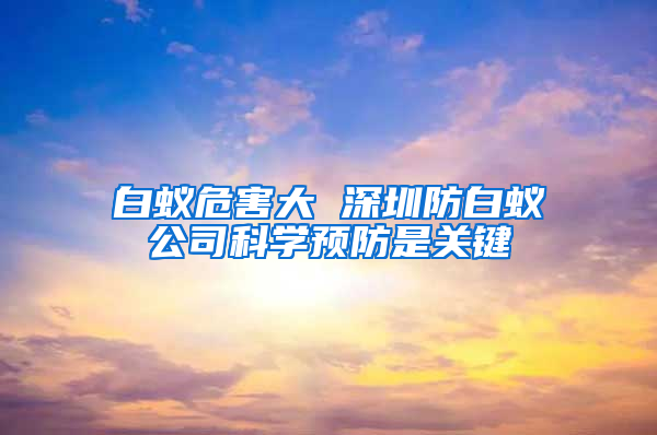 白蟻危害大 深圳防白蟻公司科學預防是關鍵