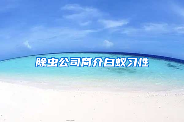 除蟲公司簡介白蟻習性