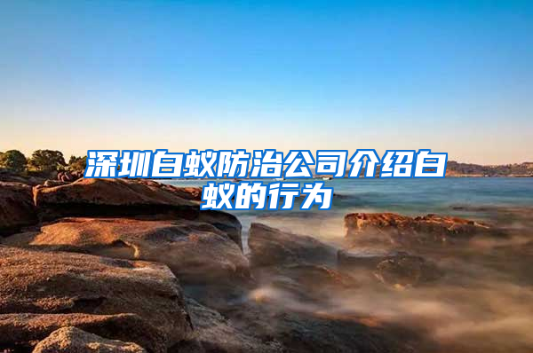 深圳白蟻防治公司介紹白蟻的行為