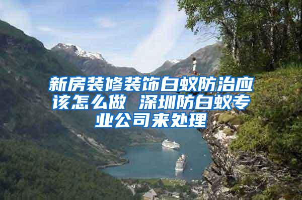 新房裝修裝飾白蟻防治應該怎么做 深圳防白蟻專業公司來處理