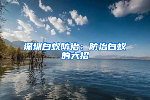 深圳白蟻防治：防治白蟻的六招