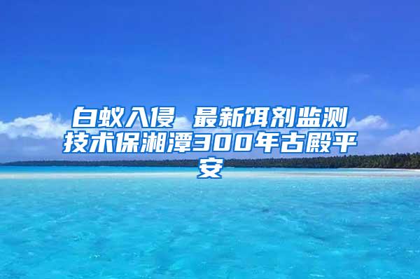 白蟻入侵 最新餌劑監測技術保湘潭300年古殿平安