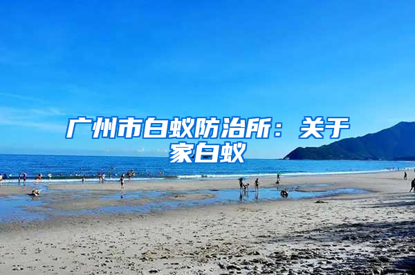 廣州市白蟻防治所：關于家白蟻