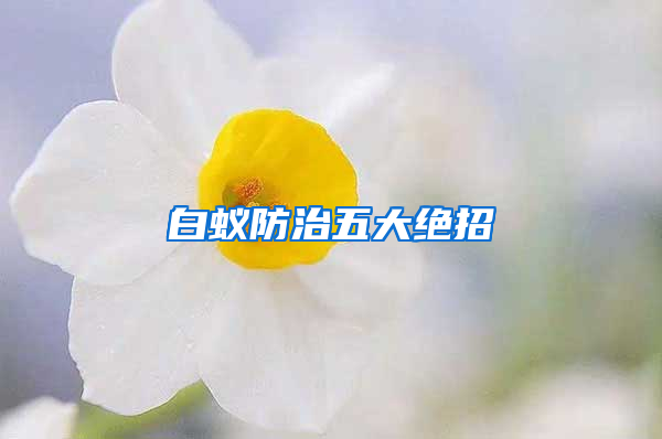 白蟻防治五大絕招