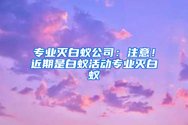 專業滅白蟻公司：注意！近期是白蟻活動專業滅白蟻