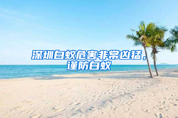 深圳白蟻危害非常兇猛，謹防白蟻