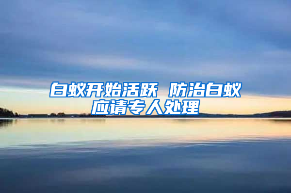 白蟻開始活躍 防治白蟻應請專人處理