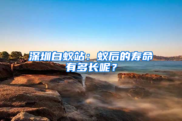 深圳白蟻站：蟻后的壽命有多長(zhǎng)呢？