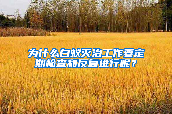 為什么白蟻滅治工作要定期檢查和反復進行呢？