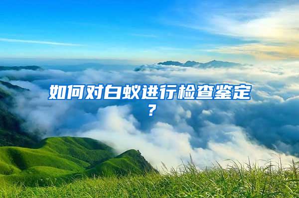 如何對白蟻進行檢查鑒定？