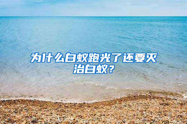 為什么白蟻跑光了還要滅治白蟻？