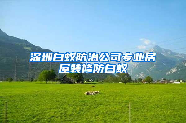 深圳白蟻防治公司專業(yè)房屋裝修防白蟻