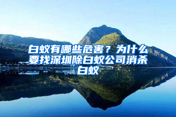 白蟻有哪些危害？為什么要找深圳除白蟻公司消殺白蟻